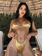 Sexy Backless Tie Up Bikinis 2pcs Swimsuit DYSC-DY23A1161YYB122813