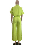 Solid Color Lapel Shirt And Loose Pants 2 Piece Set QODY-6042