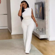 Solid Color Sleeveless Pleated Wide Leg Jumpsuit NY-10853
