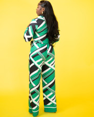 Casual Print Long Sleeve Lapel Loose Jumpsuit SFY-2783