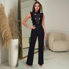 Solid Color Sleeveless Mesh Jumpsuit BY-7038