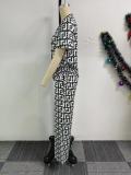 Print V Neck Wide Leg Pants Two Piece Set NY-10870