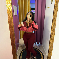 Colorblocked Zipper Cardigan Leggings Sweatsuit Suit SFY-545