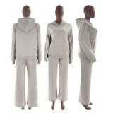 Solid Long Sleeve Hooded Sweatshirt Pants 2 Piece Set SSNF-211467