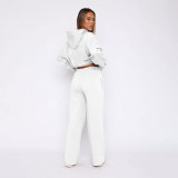 Solid Long Sleeve Hooded Sweatshirt Pants 2 Piece Set SSNF-211467