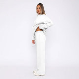 Solid Long Sleeve Hooded Sweatshirt Pants 2 Piece Set SSNF-211467