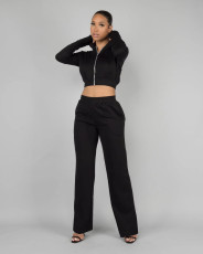 Solid Color Zipper Hooded Two Piece Pants Set FENF-FE283