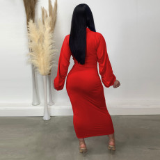 Solid Color Zipper Long Sleeve Pleated Maxi Dress TE-4706