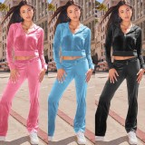 Casual Velour Hooded Cardigan Two Piece Set YD-8817