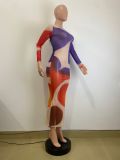 Colorfuil Print O Neck Long Sleeve Maxi Dress QOUY-M6014