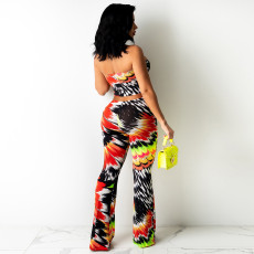 Colorful Printed Wrap Chest Tops Pants Set TE-4712