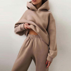 Long Sleeve Solid Hooded Two Piece Pants Set GRST-21660