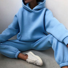 Long Sleeve Solid Hooded Two Piece Pants Set GRST-21660