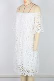 Solid Hollow Out Lace Off Shoulder Midi Dress GWDS-241010
