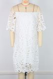 Solid Hollow Out Lace Off Shoulder Midi Dress GWDS-241010