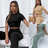 Solid Color Short Sleeve Wide Leg Pant Suit YMZY-0391