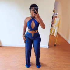 Plus Size Pleated Halter Backless Hollow Out 2 Piece Set NY-3330