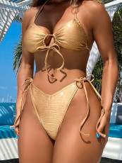 Sexy Tie Up Backless Bikinis Two Piece Swimsuit CASF-6656