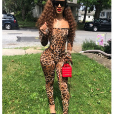 Leopard Print Mesh Bodysuit Pants Suit GOSD-6190