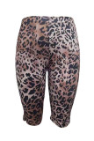 Sexy Leopard Print Five-pointed Pants GFCF-1323