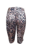 Sexy Leopard Print Five-pointed Pants GFCF-1323
