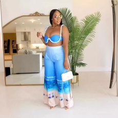 Sexy Print Nightclub Two Piece Pants Set GTYZ-7408