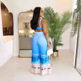 Sexy Print Nightclub Two Piece Pants Set GTYZ-7408