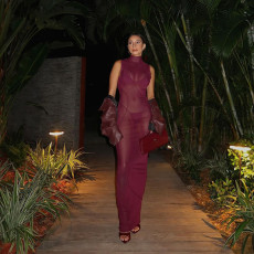Solid Mesh See Through Sleeveless Maxi Dress XEF-K24D61325