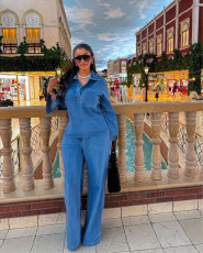 Plus Size Long Sleeve Lapel Denim Two Piece Pants Set GADE-6561