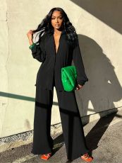 Solid Color Press Pleated Two Piece Pants Set BS-1386