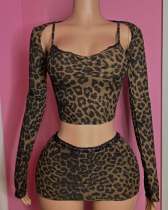 Pre Order: About 7 work days shipping Sexy Leopard Printed Top Half Skirt Suit YUEM-2025601