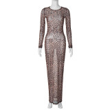 Pre Order: About 7 work days shipping Mesh Print Long Sleeve Maxi Dress YUEM-2025609 