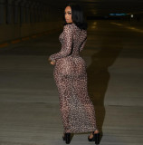 Pre Order: About 7 work days shipping Mesh Print Long Sleeve Maxi Dress YUEM-2025609 