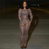 Pre Order: About 7 work days shipping Mesh Print Long Sleeve Maxi Dress YUEM-2025609 