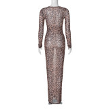Pre Order: About 7 work days shipping Mesh Print Long Sleeve Maxi Dress YUEM-2025609 
