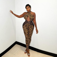 Mesh Patchwork Leopard Print Jumpsuit GNZD-11242JHR