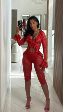 Hollow Out Lace Two Piece Pants Set GDYF-6804