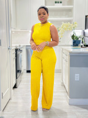 Solid Color Sleeveless Knits Two Piece Pants Set SFY-685