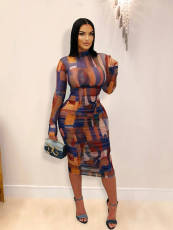 Long Sleeve Print Mesh Pleated Maxi Dress YD-062
