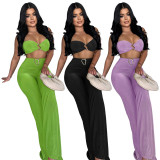 Solid Color Sexy Halterneck Two Piece Pants Set YF-20181