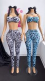 Pre Order: About 7 work days shipping Leopard Print Sling Two Piece Pants Set YUEM-300323