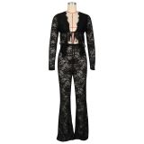 Lace Flocking See Through Two Piece Pants Set AIL-311