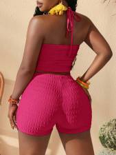 Sleeveless Hollow Out Knits Two Piece Shorts Set SHD-9782