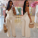Halterneck Backless Tie Up Two Piece Pants Set BY-7461