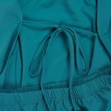 Deep V Neck Pleated Long Dress GTYZ-7577