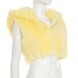 Solid Color Fur Zipper Hooded Short Jacket GDSF-J25TP213