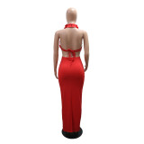 Halterneck Large Flowers Solid MaxI Dress CYA-901951