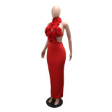 Halterneck Large Flowers Solid MaxI Dress CYA-901951