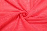 Pleated Halterneck Backless Maxi Dress DLSF-K25D79428