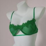 Sheer Mesh Lace Lingerie Set GJZY-2312